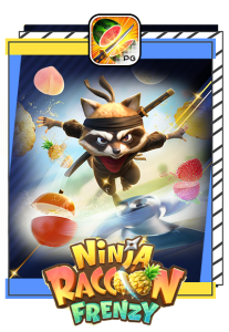 Ninja-Raccoon-Frenzy-207x300